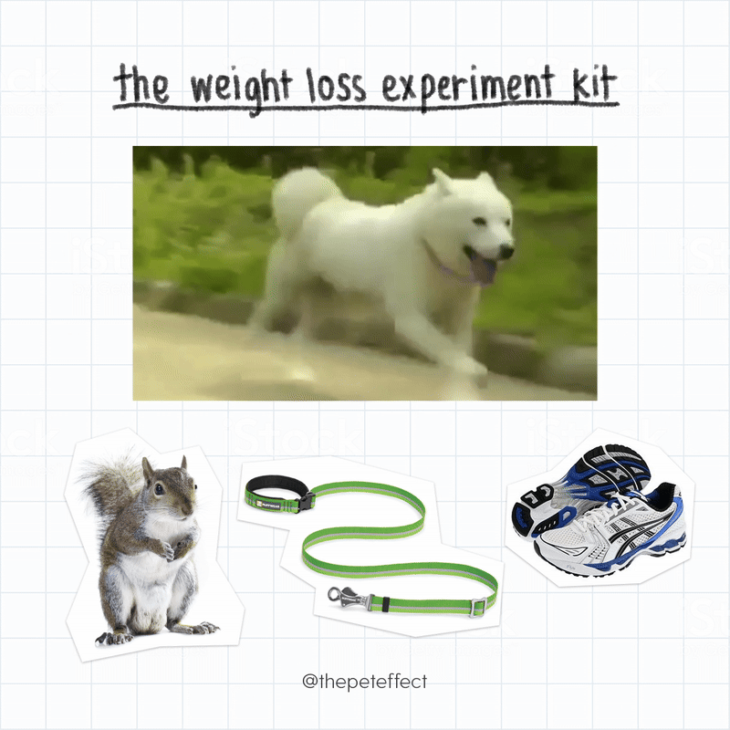 ezgif-1da969d2e2b53e.gif
