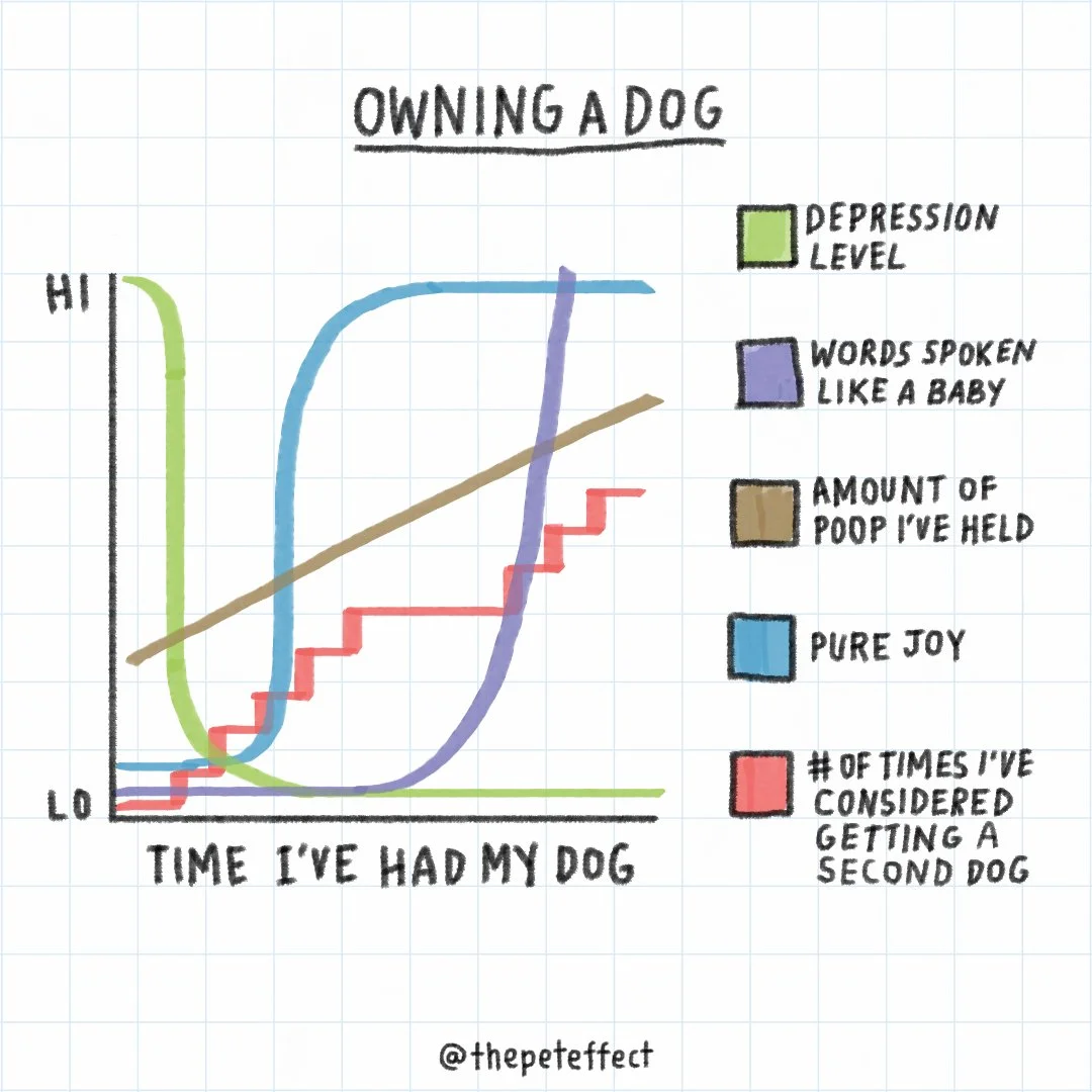 HAB_TPE_Social_MAY2018-10-Chart.jpg