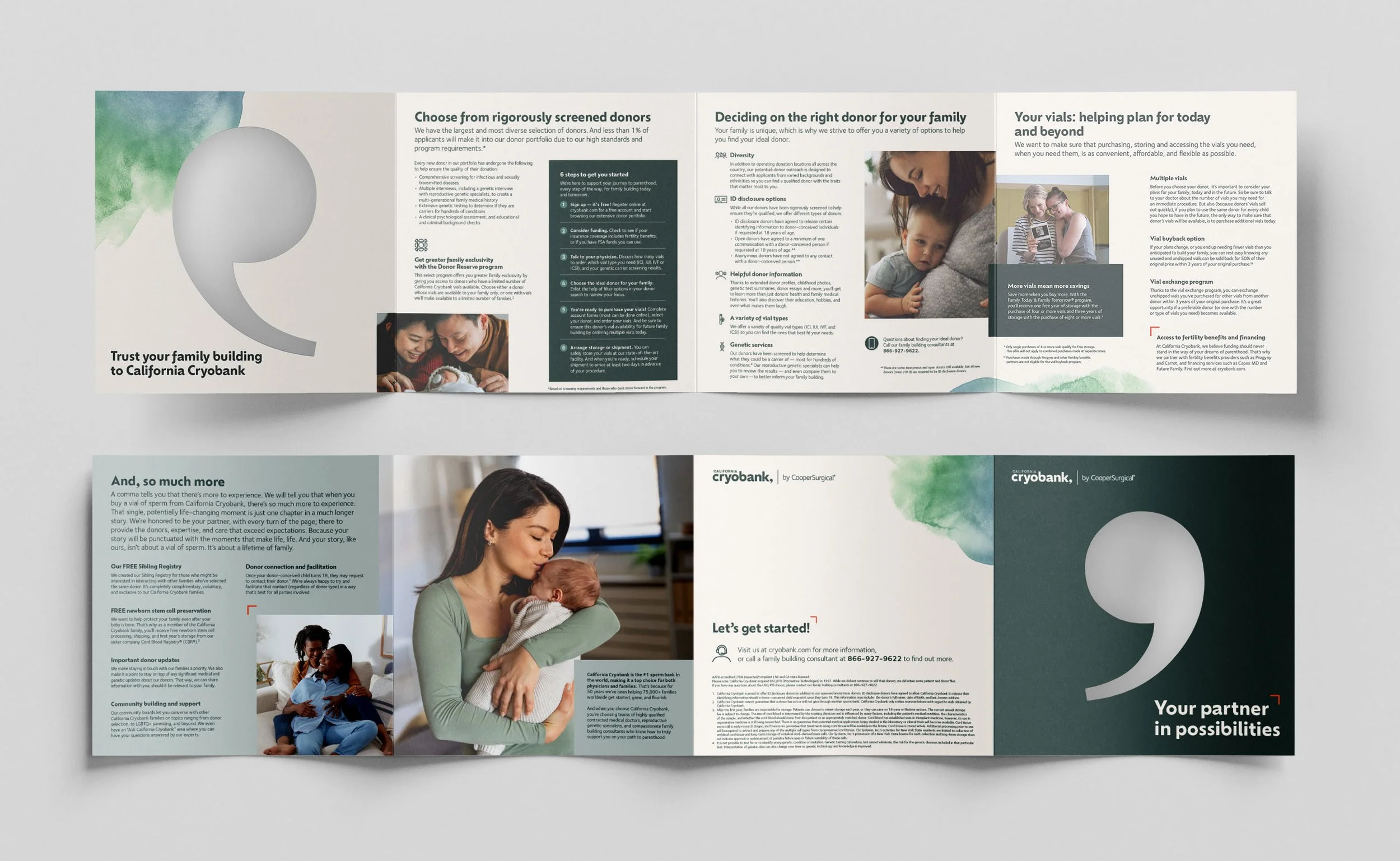 CCB_BrochureBrochure-Flat.jpg