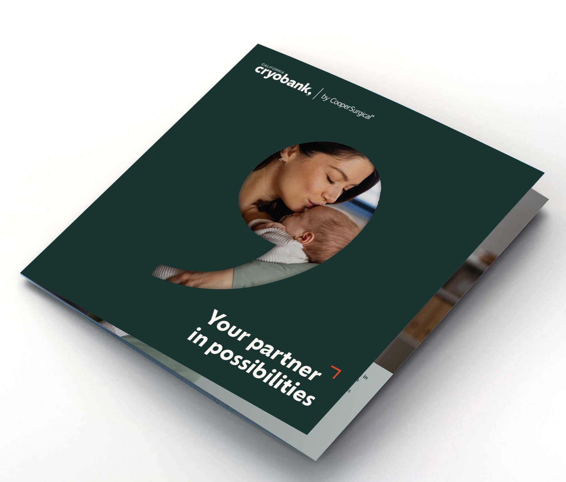 CCB_BrochureBrochure-Cover.jpg