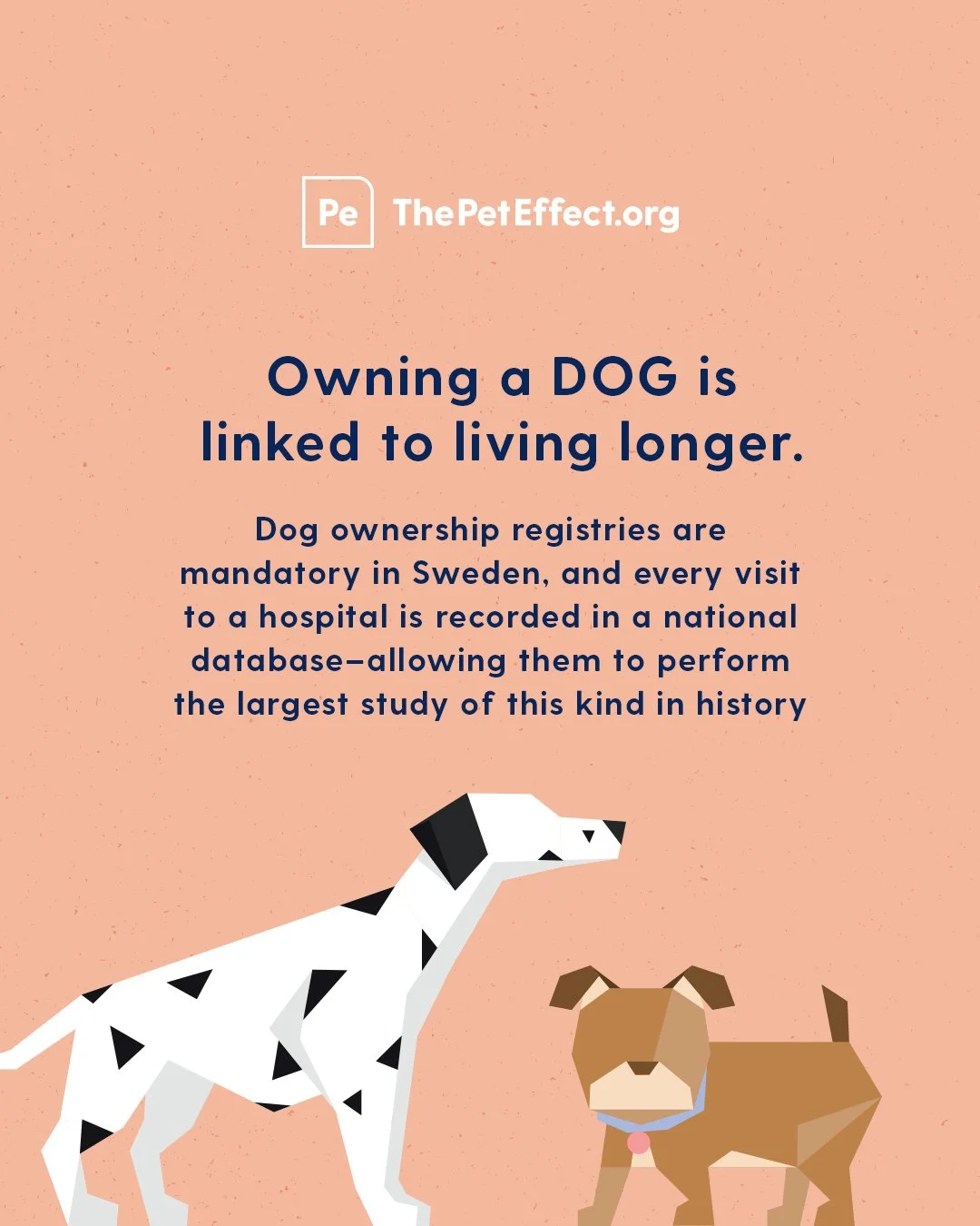 TPE_Social_MAR_05-SwedenQuiz_IG-b.jpg