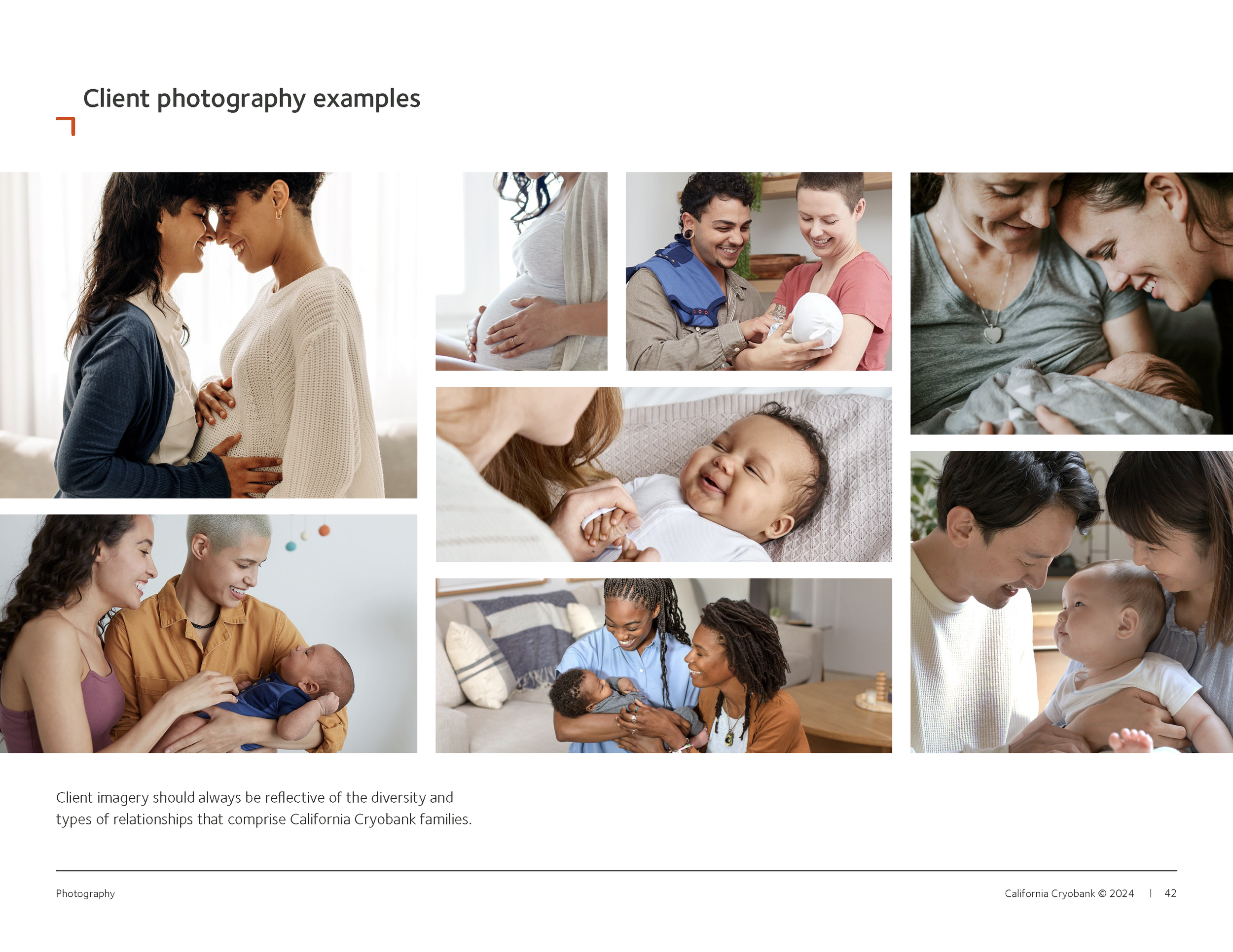 CaliforniaCryobank_BrandBook_V2_Page_43.png
