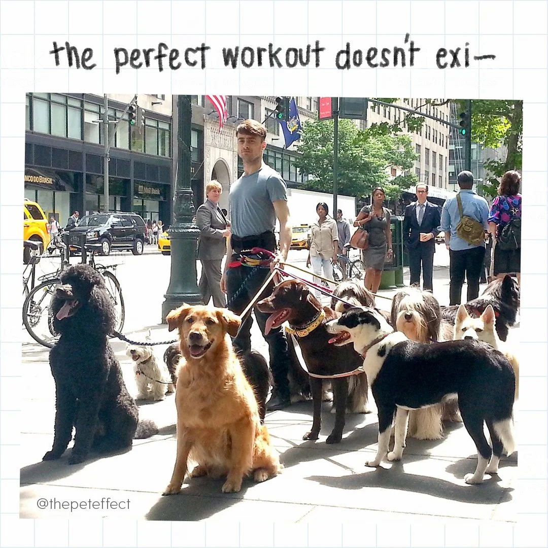 HAB_TPE_Social_APR2018_R4-01_PerfectWorkout.jpg