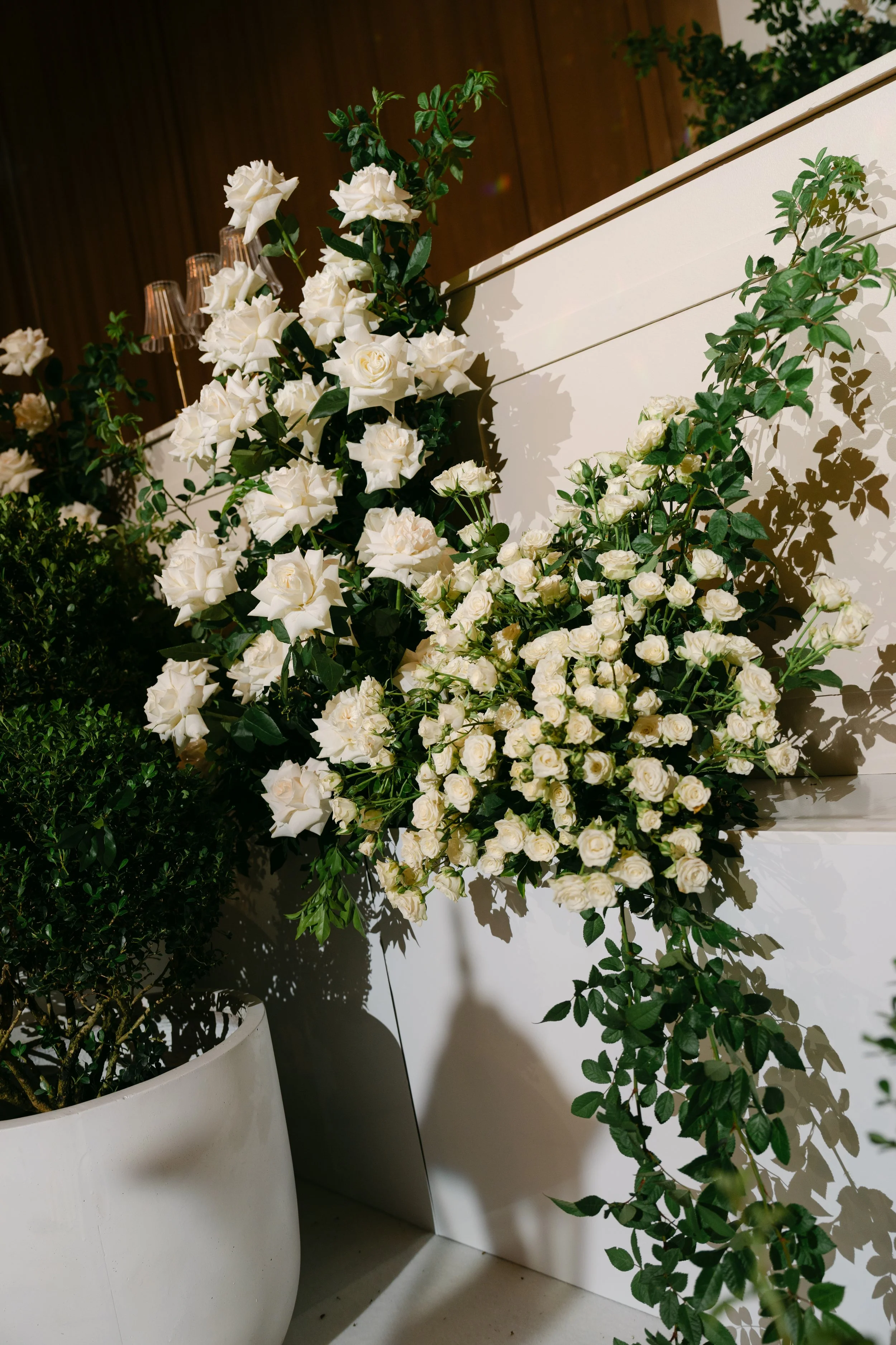 DL_SYD10133_1110.jpg
