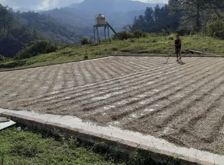 Screenshot 2025-09-24 at 7.58.08 PM.png