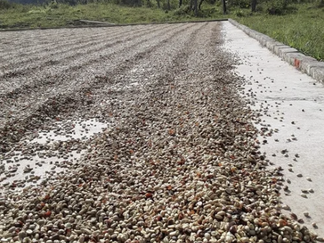 Screenshot 2025-09-24 at 7.58.30 PM.png