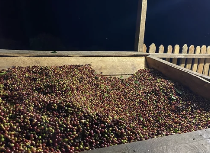 Screenshot 2025-09-24 at 7.14.47 PM.png