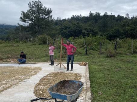 Screenshot 2025-09-24 at 7.58.26 PM.png