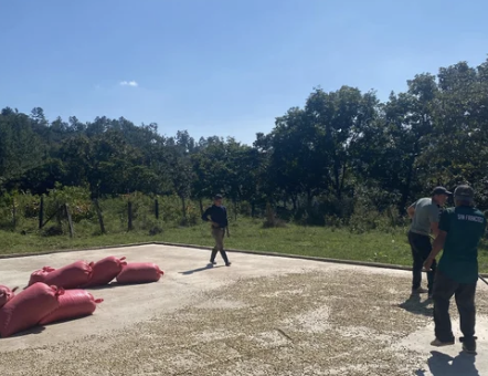 Screenshot 2025-09-24 at 7.58.12 PM.png