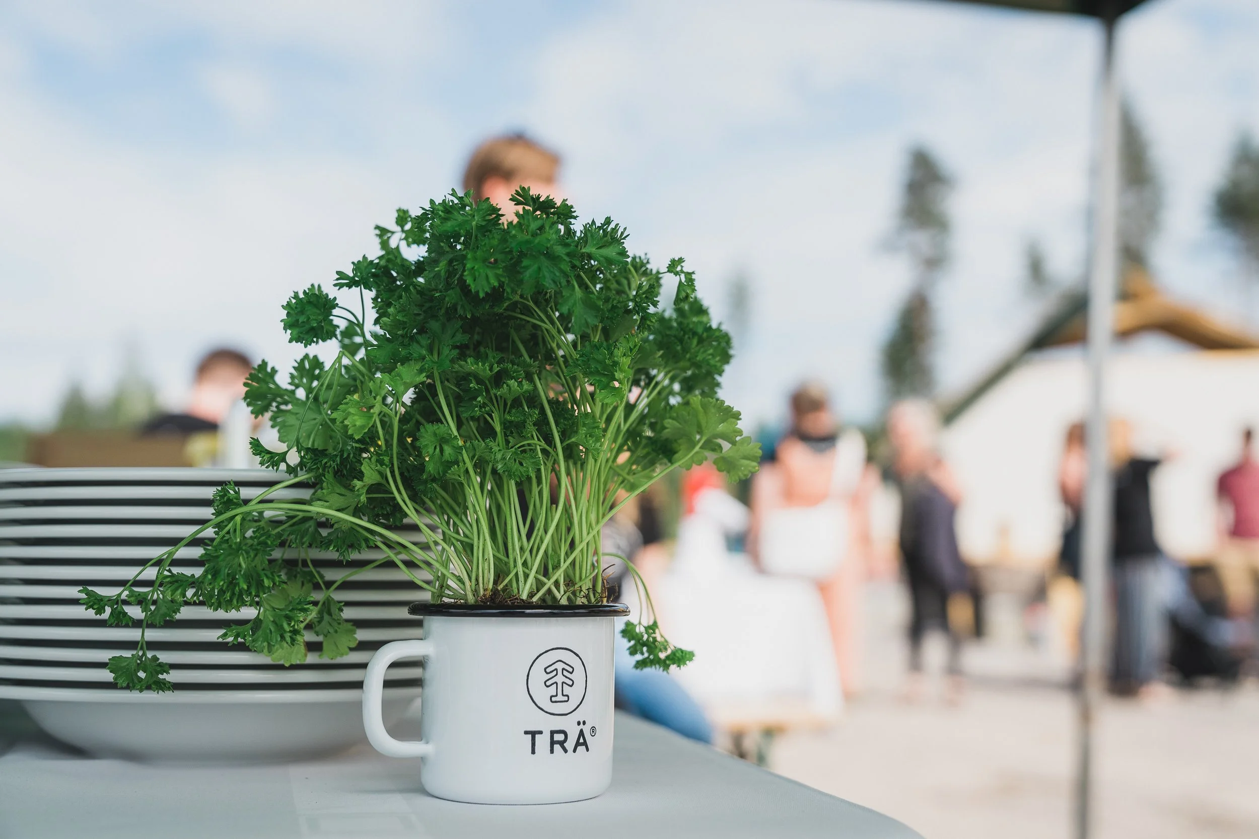 Tra Group brand image.jpg