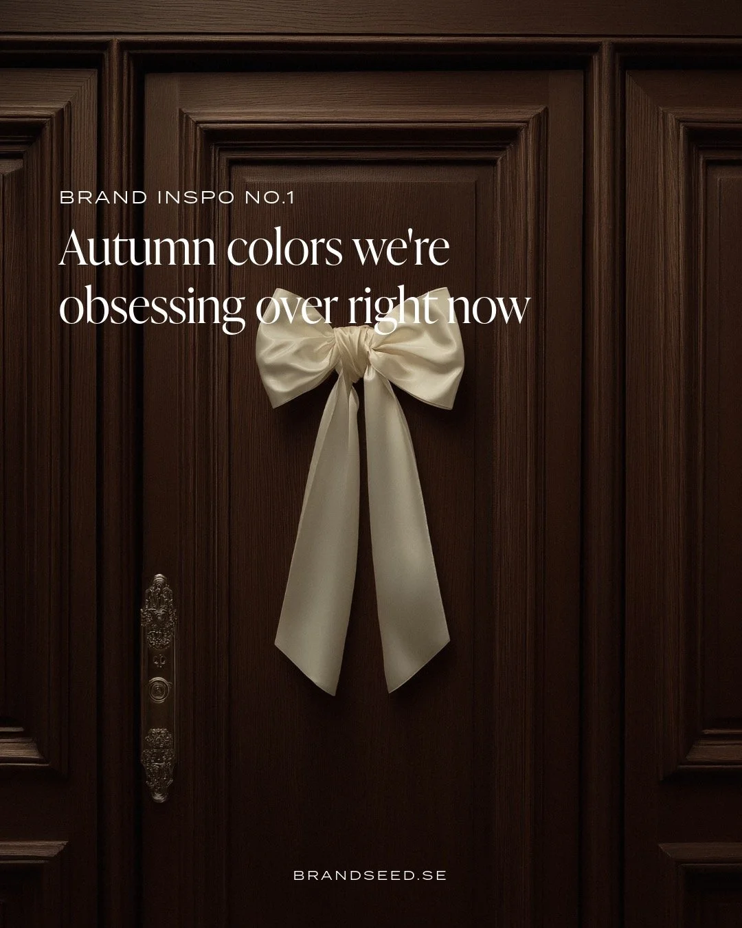 Chokladbrunt, nougat, vinr&ouml;tt, beige - f&auml;rger som ger k&auml;nslan av att krypa upp i soffan med en filt och en kopp te i handen en kylig h&ouml;stdag 🍂

Vilka f&auml;rger dras ni till mest just nu?

#brandseed #brandingstudio #slowbrandin