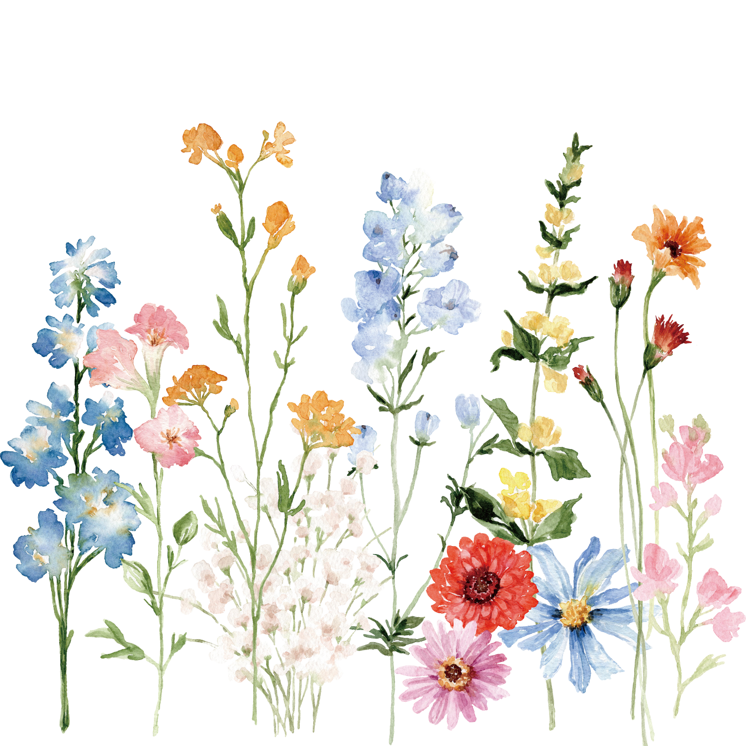 Watercolor painting of various colorful flowers, including blue, pink, orange, yellow, and red, arranged in a bouquet against a black background.