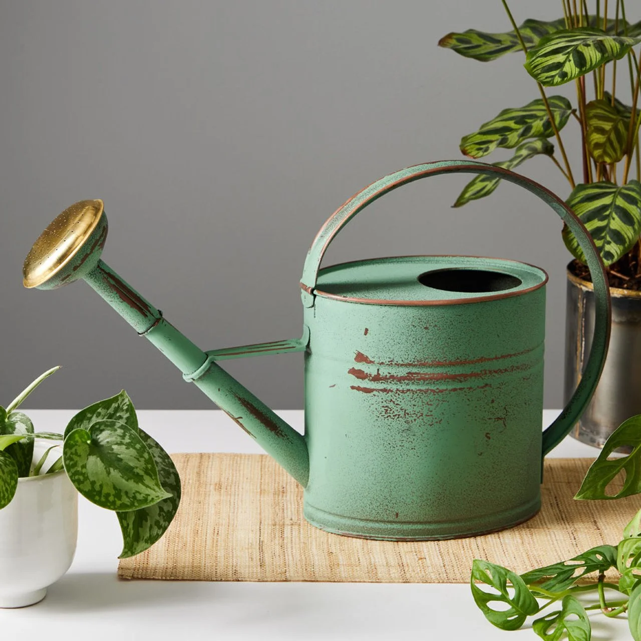 Watering-Can-4l-Antique-Green_main_40A0101__32625.jpg