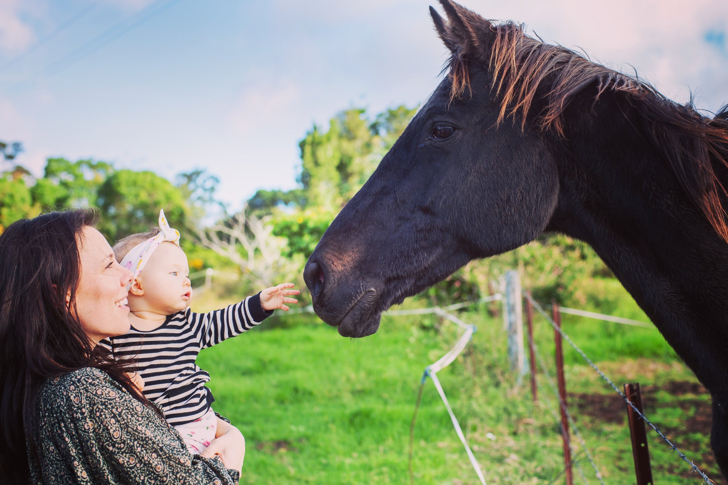 BH Farm; A place for belonging by Tash Brooks