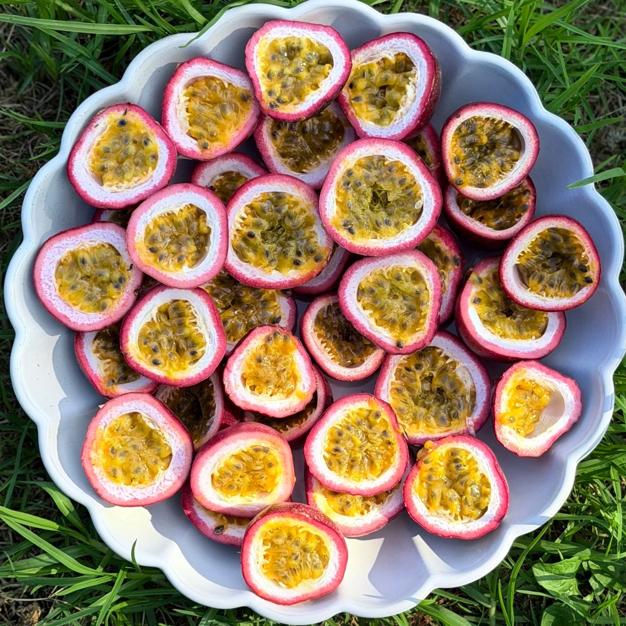 Passionfruit Melting Moments