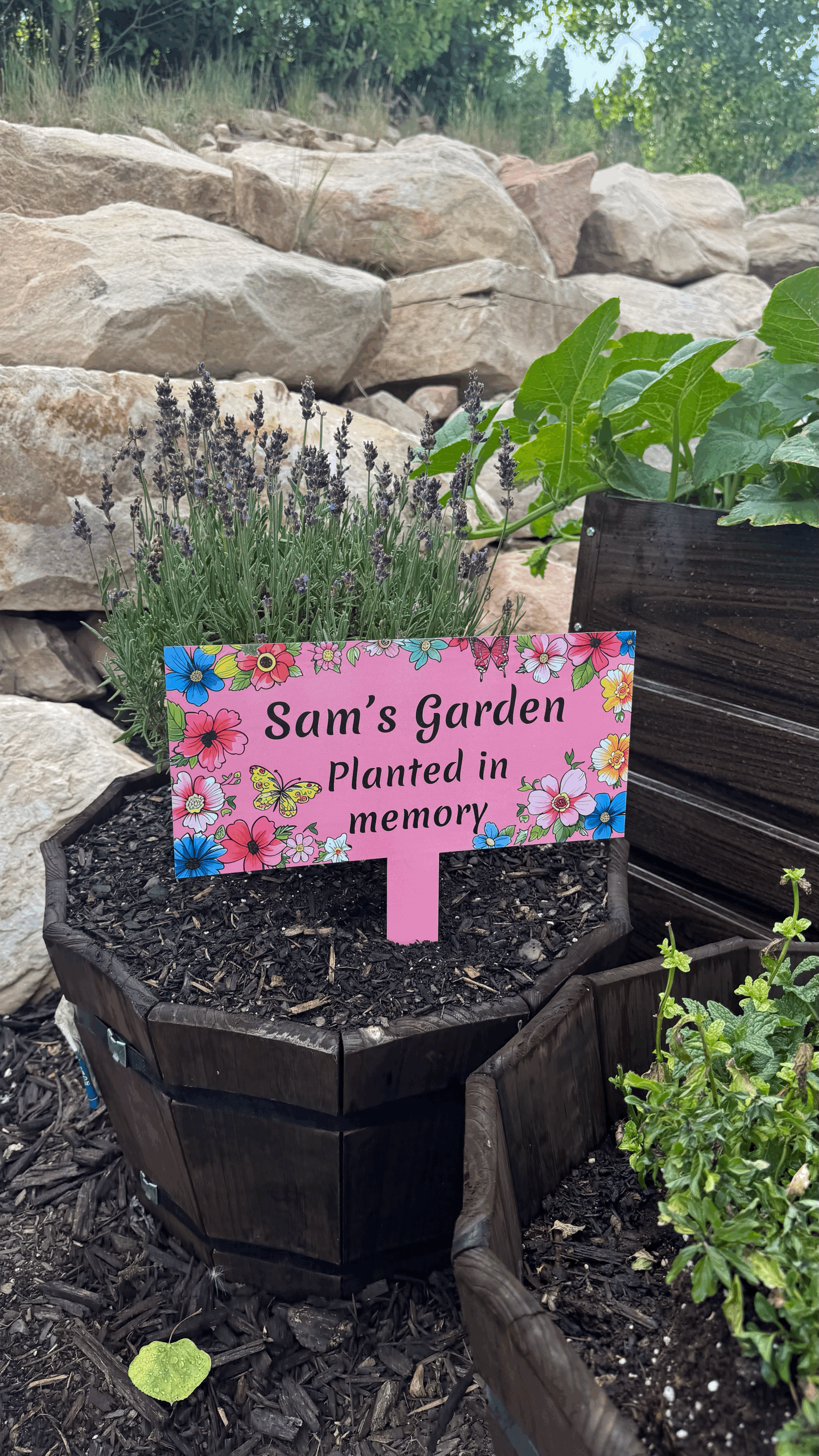 Planting a Garden for Sam: An Introduction to My Garden by Beau Dunn