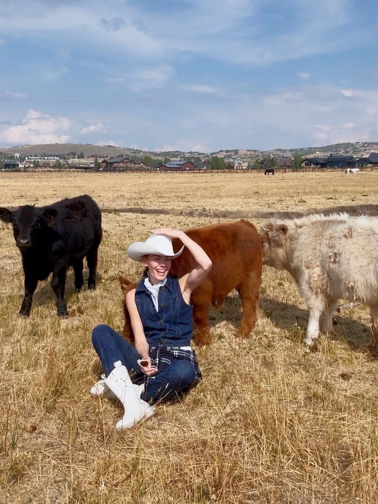 Pasture Therapy: Finding Stillness in the Field