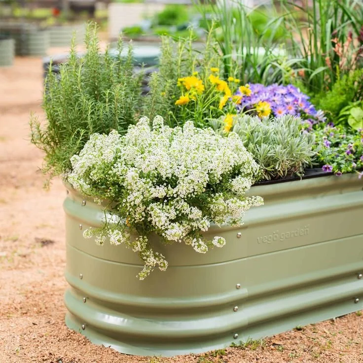 Your Box Garden Guide: What to Buy and Why It Matters