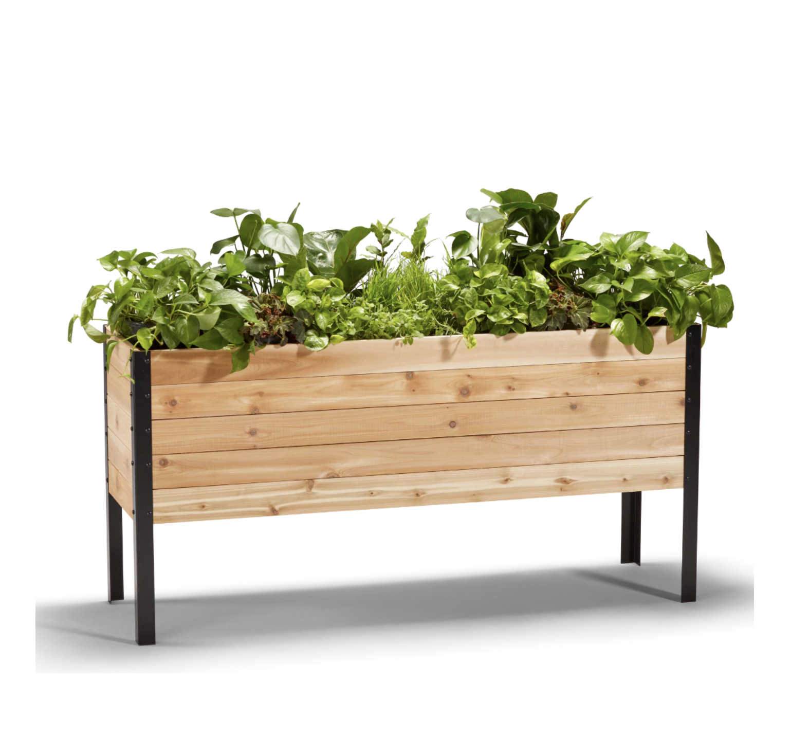 Screenshot 2025-11-27 at 12.12.59 PM.png