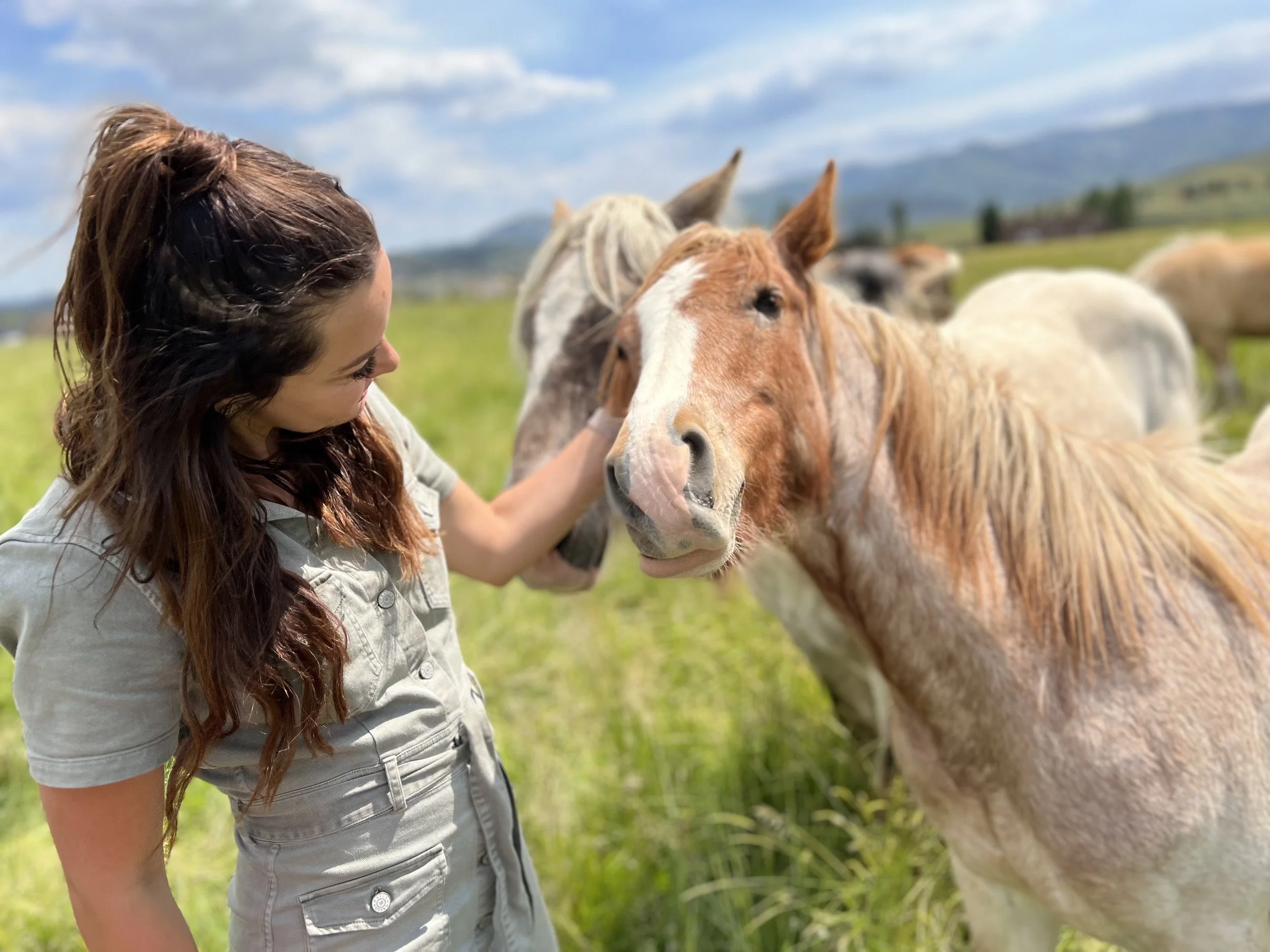 Where the Herd Holds the Mirror: Chelsey Milton on Pasture Therapy and Trust