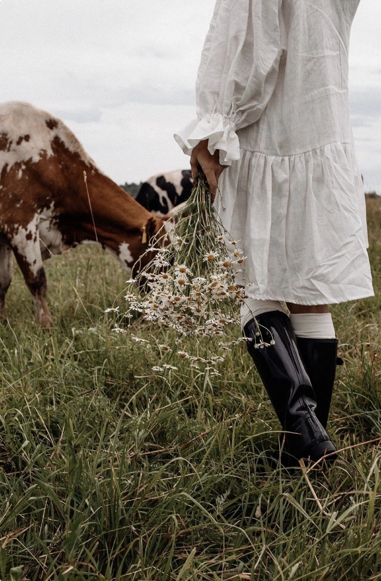 What Worked This Year