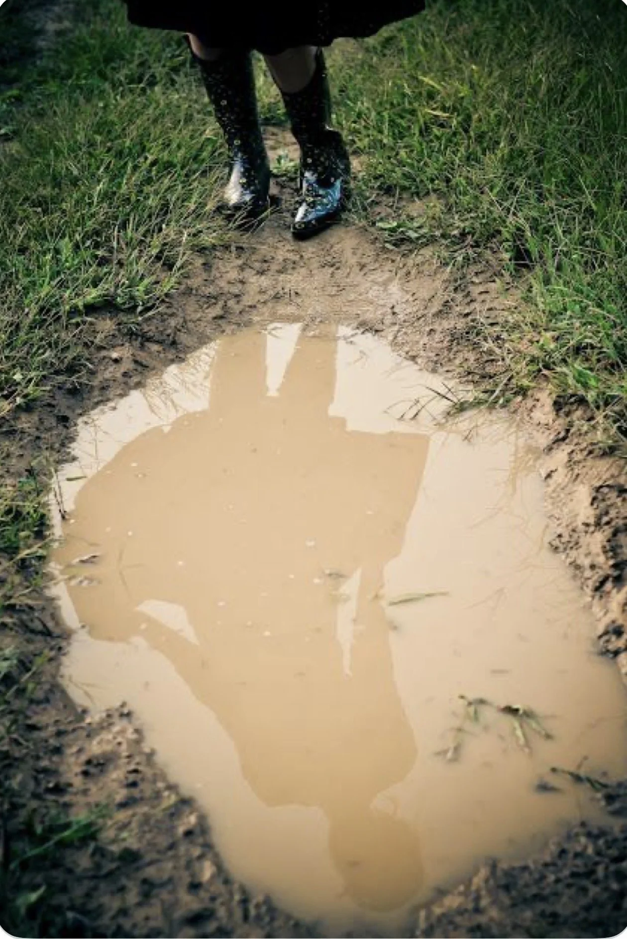 What Didn’t Work This Year