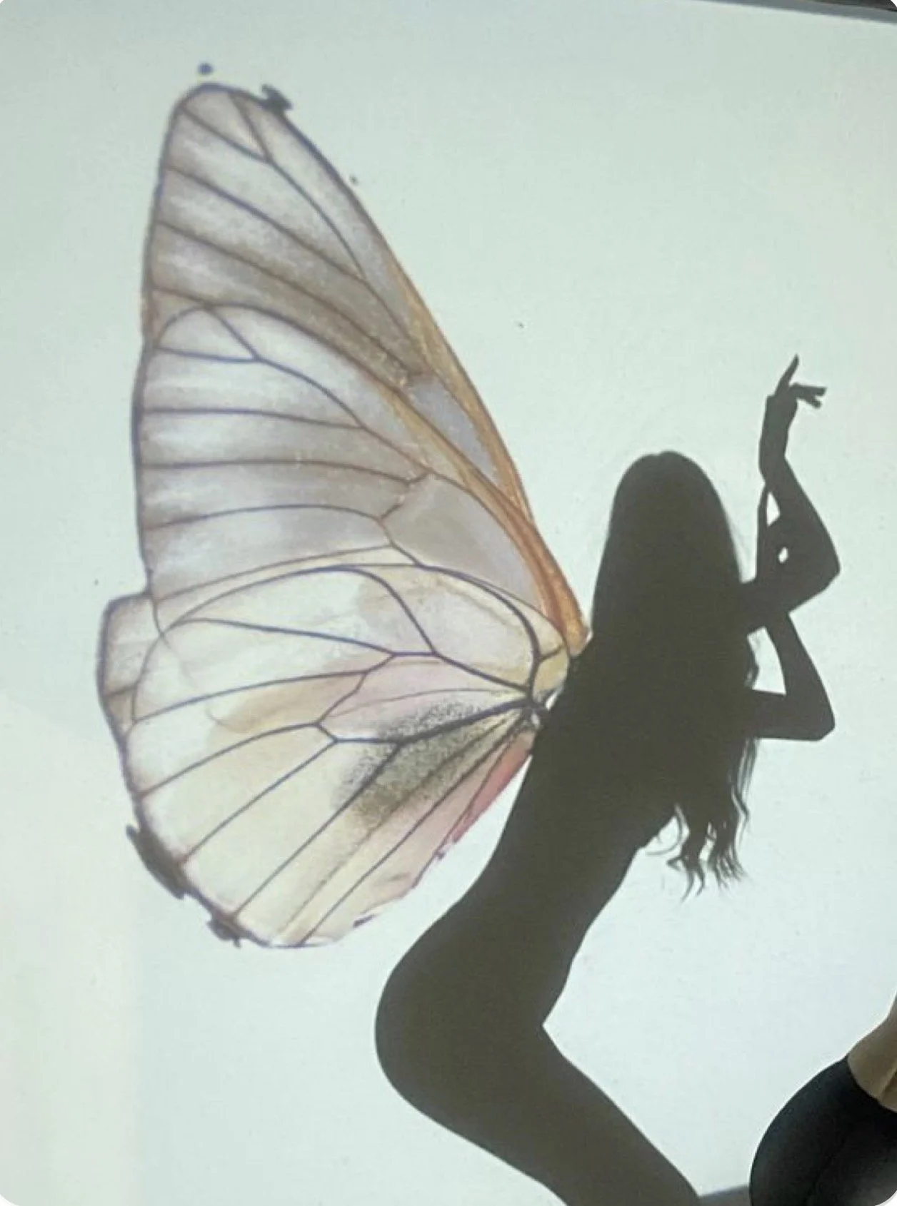 Starting Over = Proof of Life