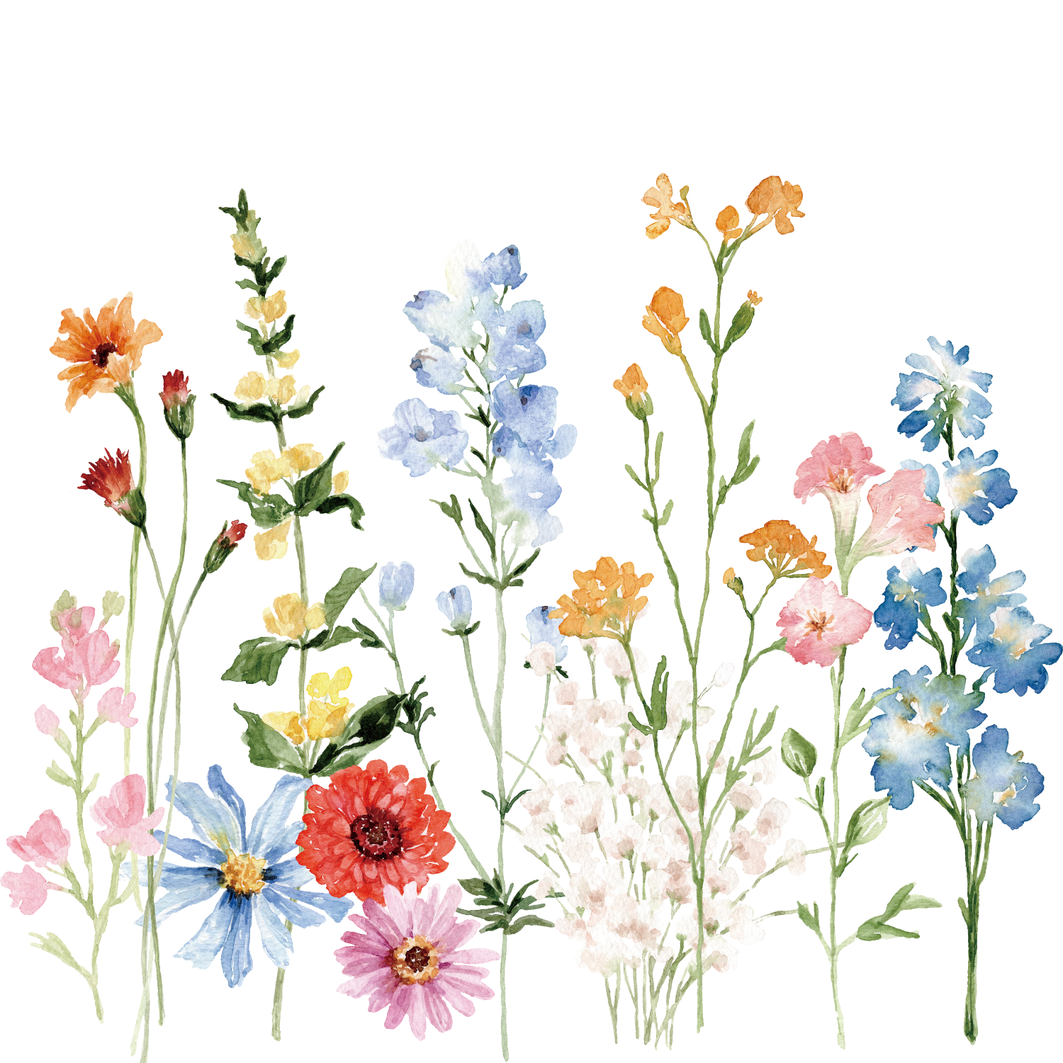 Watercolor illustration of various colorful wildflowers arranged in a bouquet.