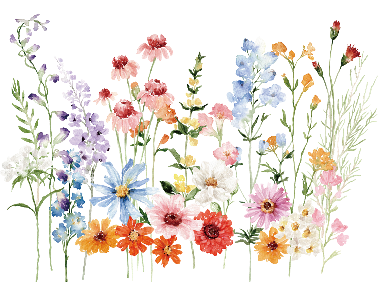Watercolor illustration of a colorful assortment of various flowers with pink, purple, blue, orange, and white petals, arranged in a loose bouquet.