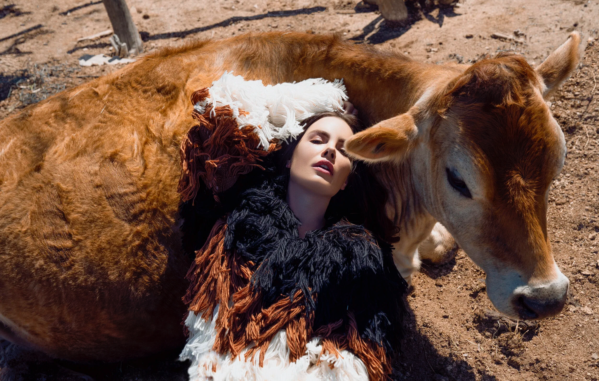 A woman with dark hair and makeup lying on a cow's side on dirt ground, wearing a black, red, and white feathered outfit, with the cow's head resting near her face.