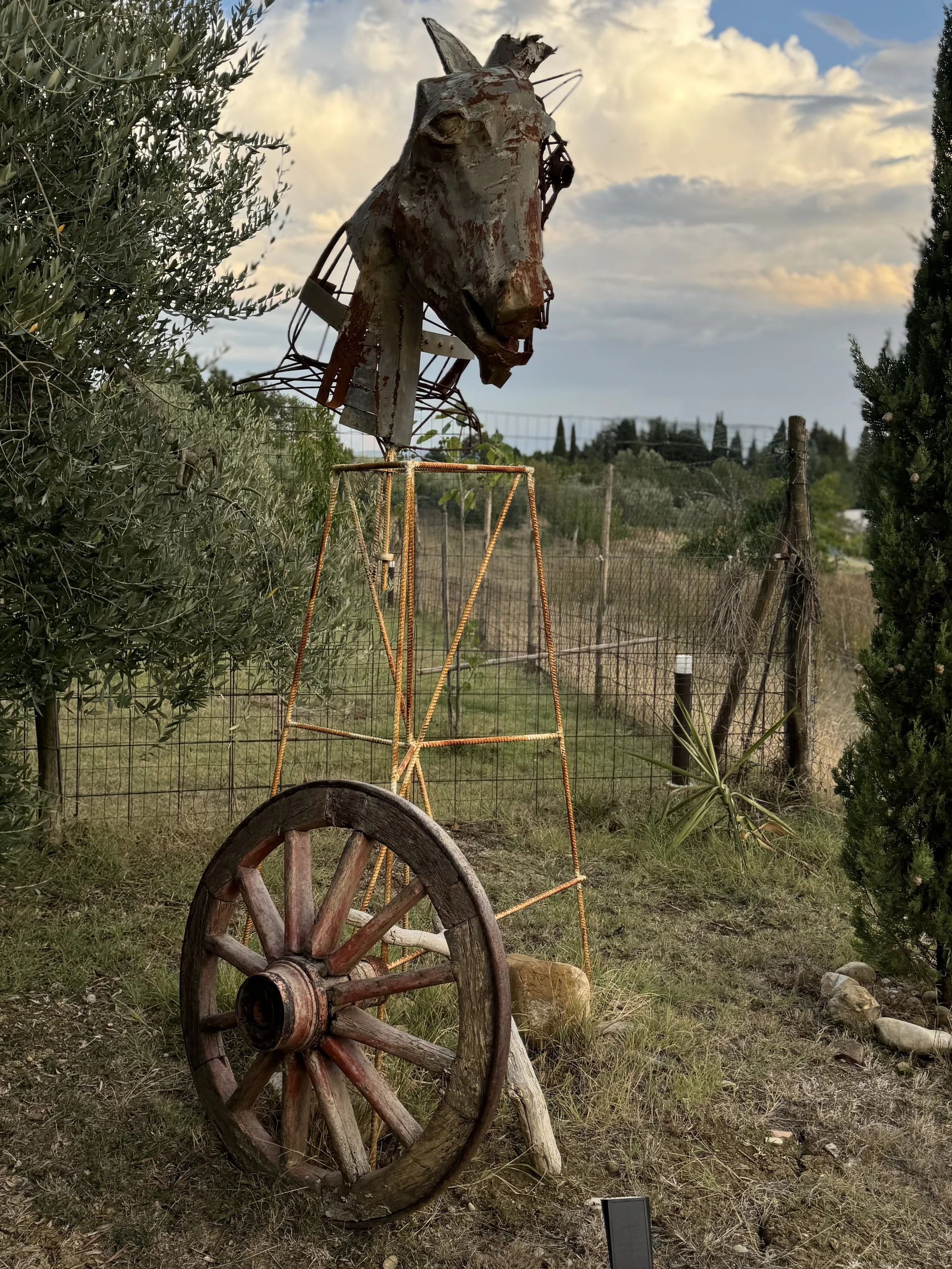 Cavallo di Troia - 2024 - Ferro di scarto