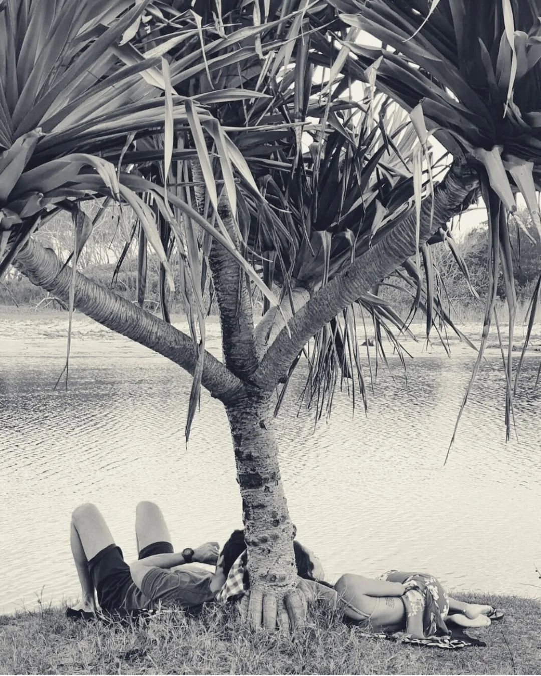 A lot is happening in Byron right now 🌿🌈 yeah we know it's the weekend. ... BUT
If you&rsquo;re a Byron local, there&rsquo;s some intel waiting for you online &mdash; from the latest on the proposed SEP to Have Your Say opportunities on changes to 