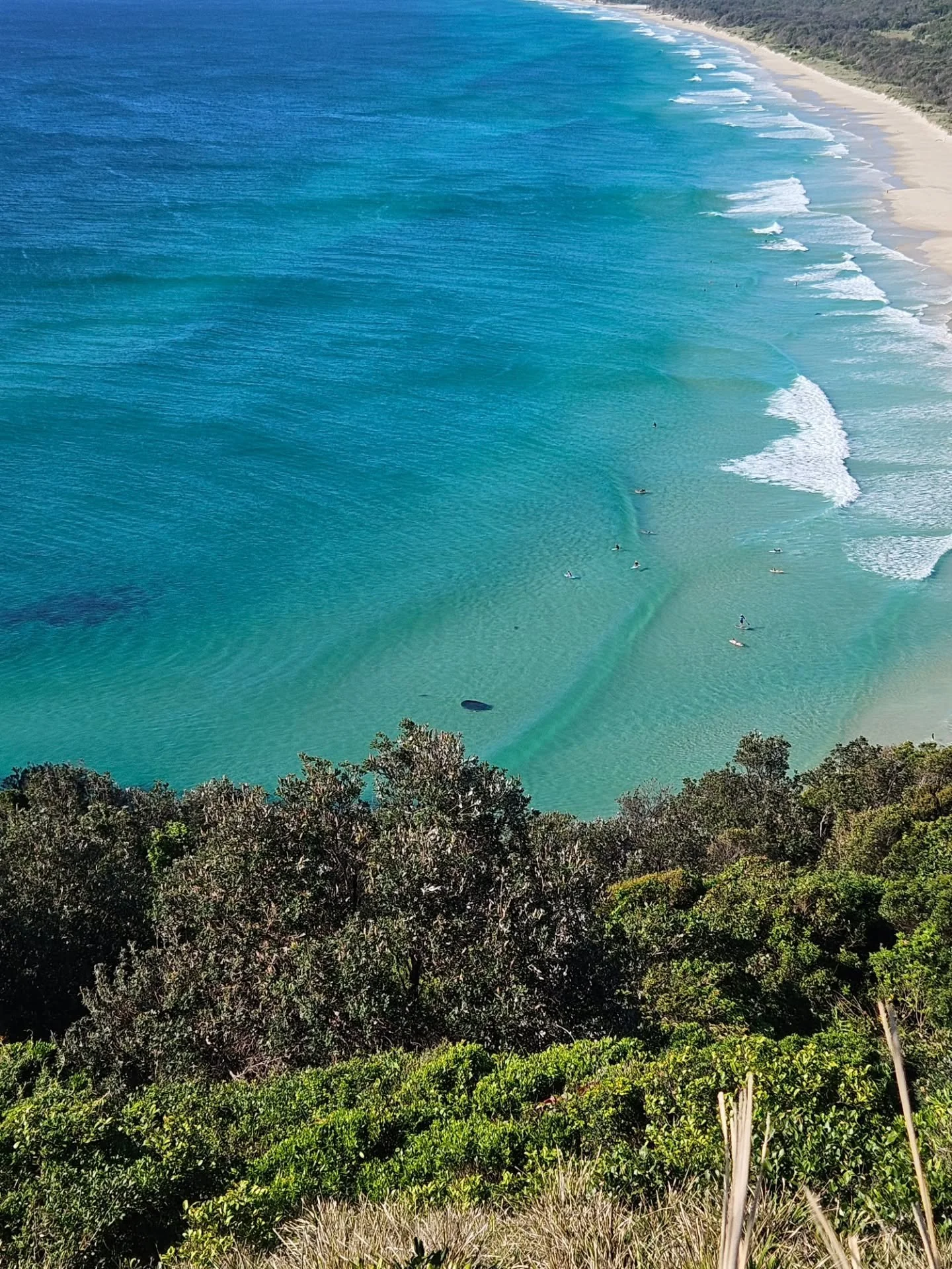 Sharks and baitballs circling at Tallows, a coudless blue sky day with cranes the only obstruction, it seems everyone wants a piece of Byron ... how do we  protect + respect the magic we have here?
The State government wants the golden goose to keep 