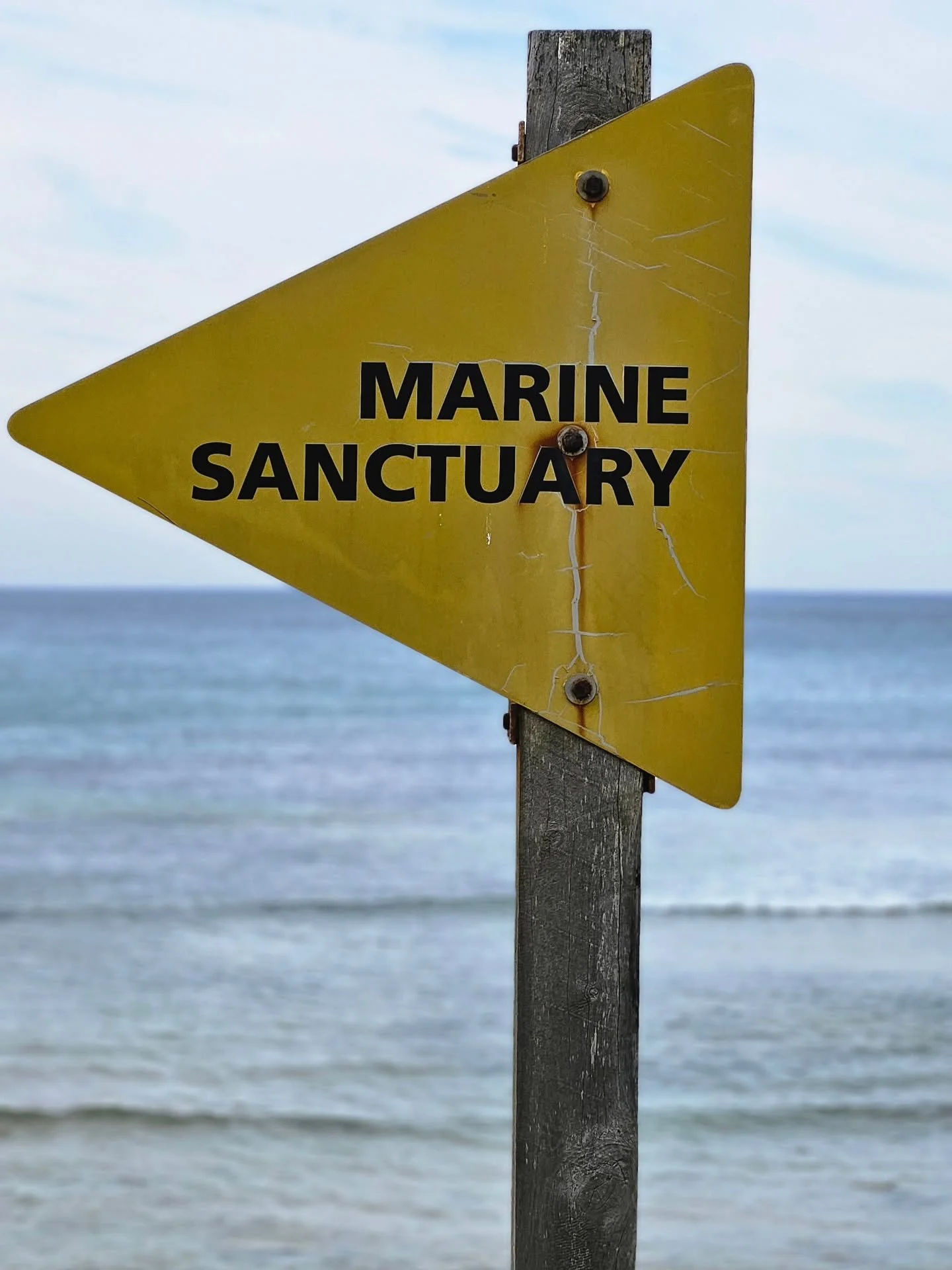 Signage is a tricky thing, how do we get the balance right ? Whether it is to Slow Down For Wildlife or just a yellow sign to respect the ocean .. like this Marine Sanctuary sign spotted in Victoria.

Do we have the right signage for our unique envir