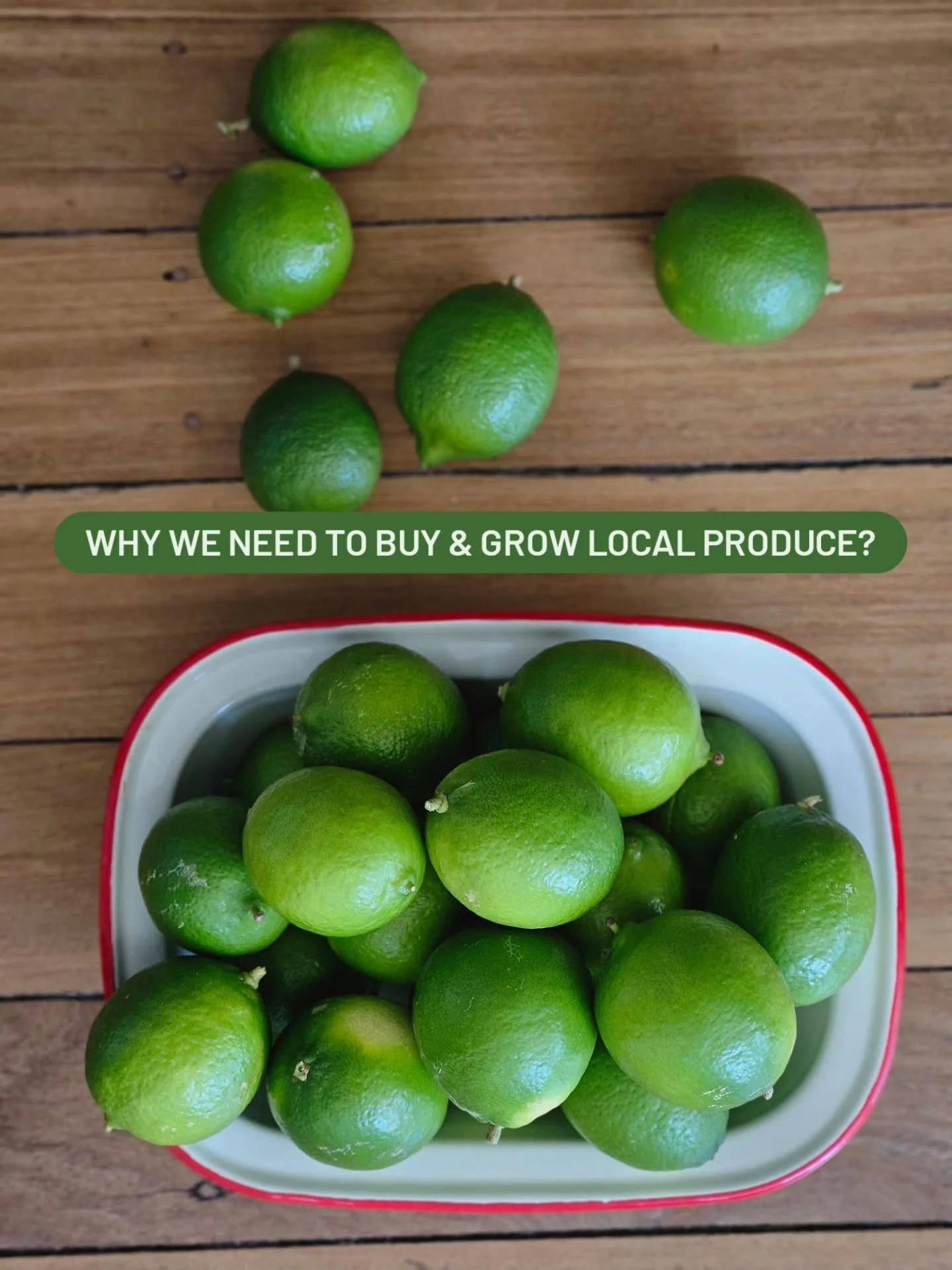 My work, until I die, is raising awareness about the importance of strengthening local communities and economies&rsquo;, says @helenanorberghodge

Love our local farmers markets?  Want a stronger, more resilient community?
Then Food Forever is for yo