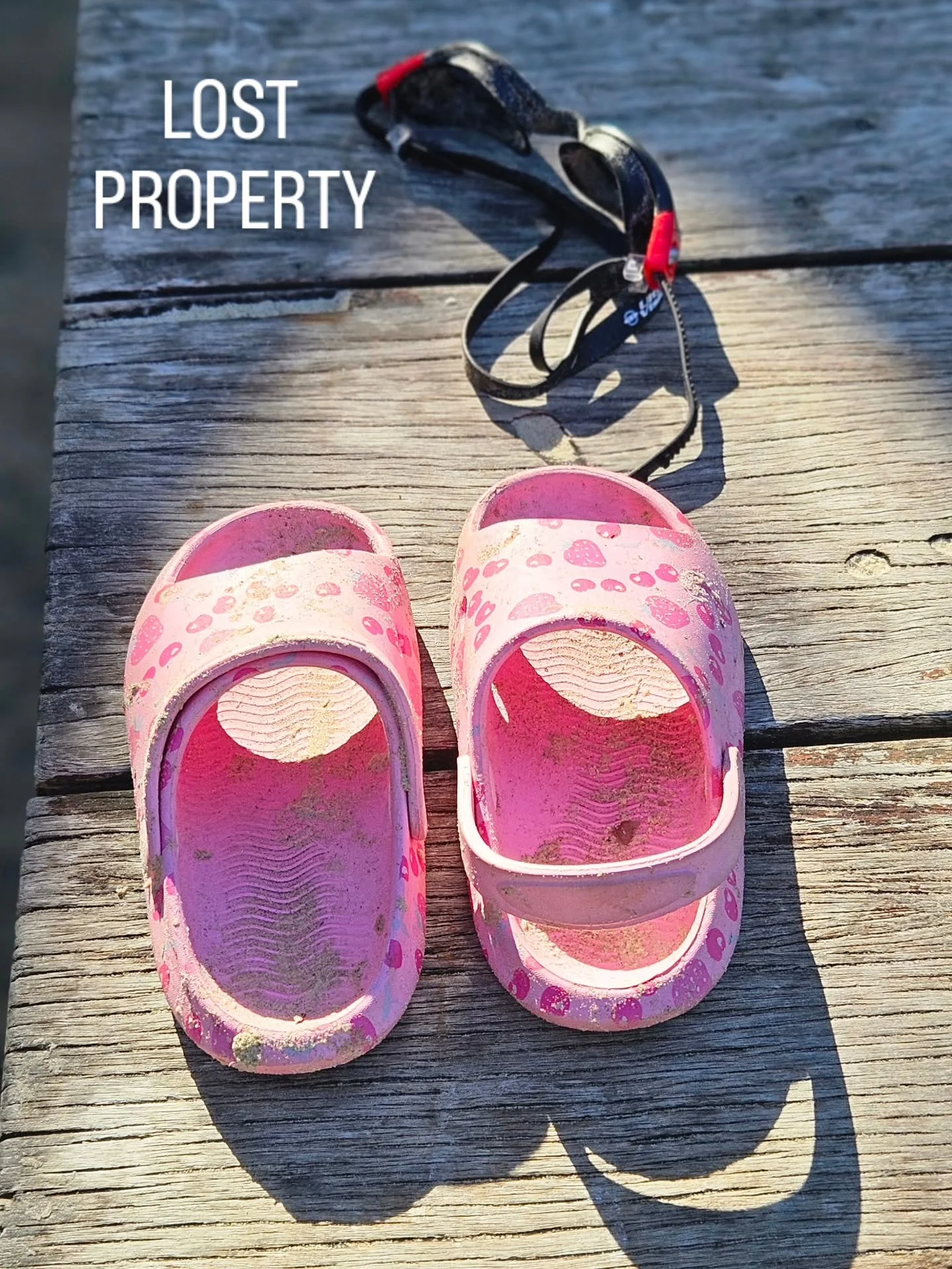 LOST PROPERTY ... as seen, on the picnic table.
.
.
#stilltheretoday
#photoseries
#byronbay