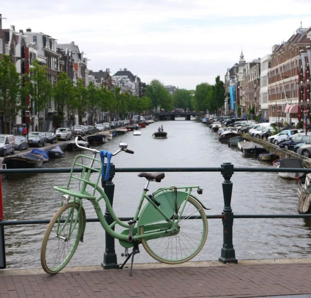 Swamps, Polders, and Power: 