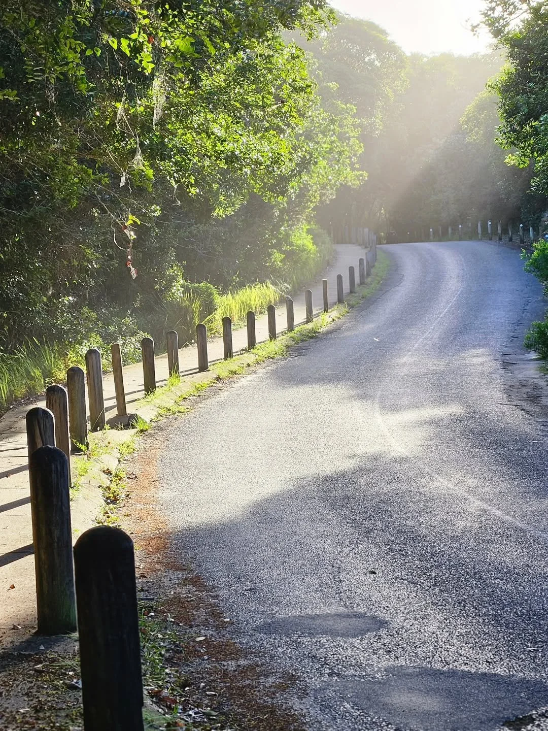 Place-making doesn't have to be fancy,  just needs to be contextual.
Road to Tallows Beach, pot holes inclusive.

#byronbay2481
#respectandprotect 
#coastalenviroment