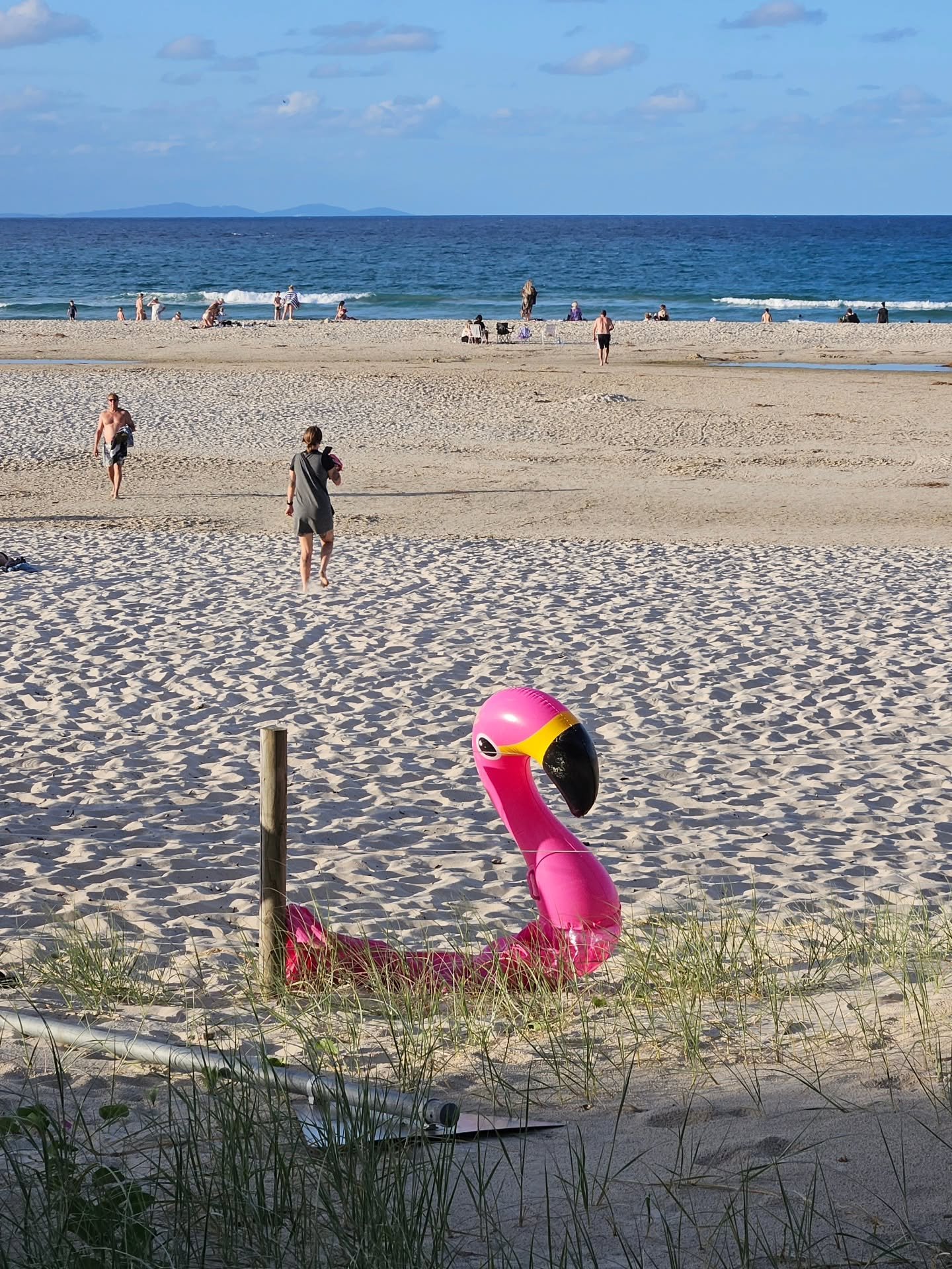 If you've signed up for our free monthly newsletter - check your inbox... You've got some reading 🦩
If you're not signed up and want to know what's happening in the 2481 postcode  #linkinbio 
.
.
#byronbay2481
#acommunitynotacommodity 
#byronlocalne