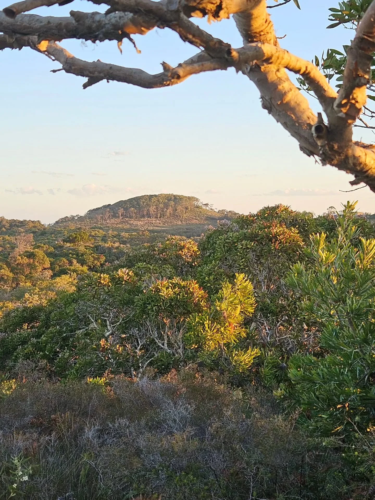 With all the development pressures in town, it's good to remember why we live here and why its such a unique place - we are surrounded by beauty ... nature does it best 🌿  if you're visiting for the Writers Festival... enjoy ✍️

#respectandprotectby