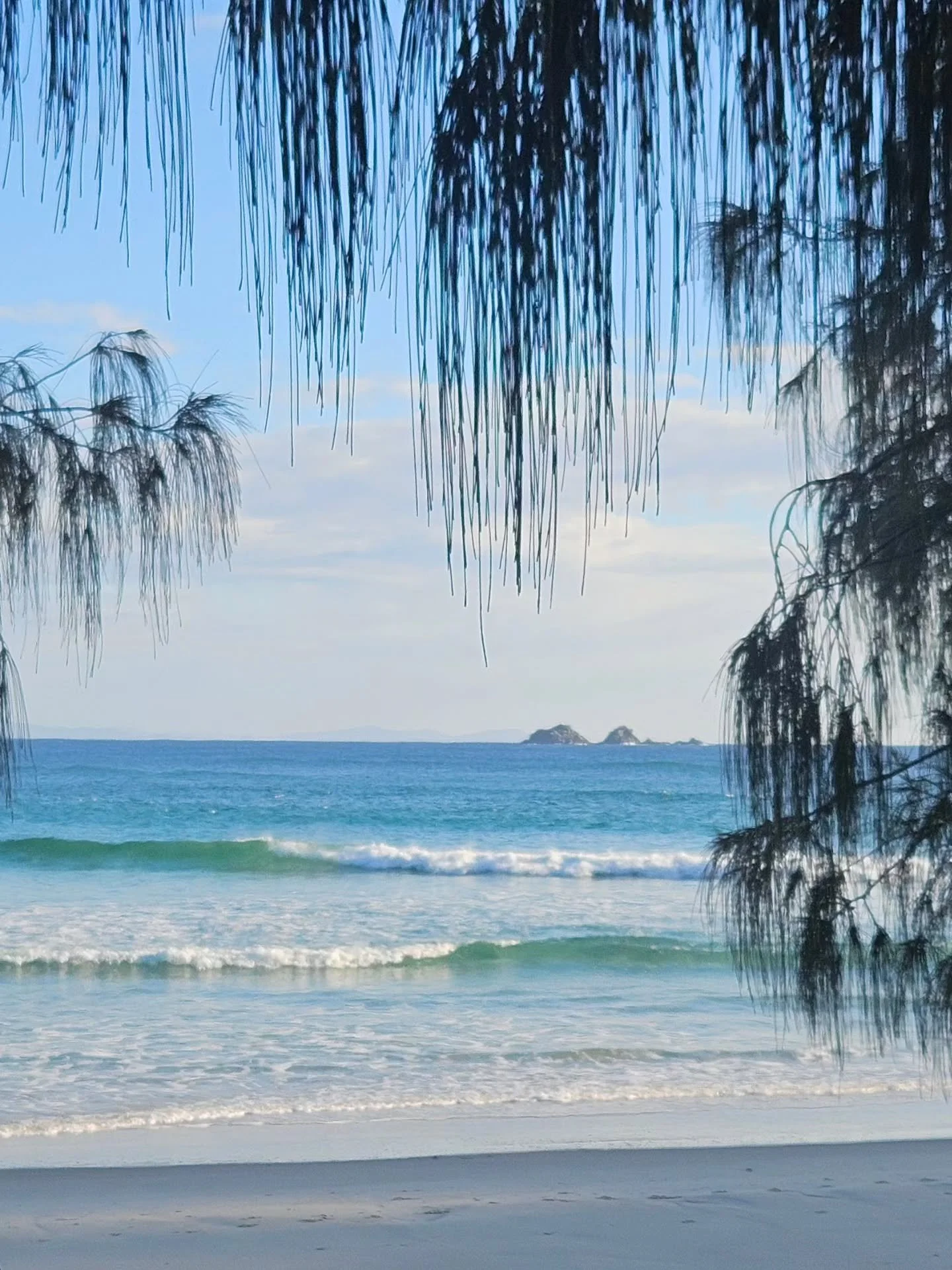 Sunday mode ... nature does it best. 

#peopleofbyron2481 
#respectandprotectbyron