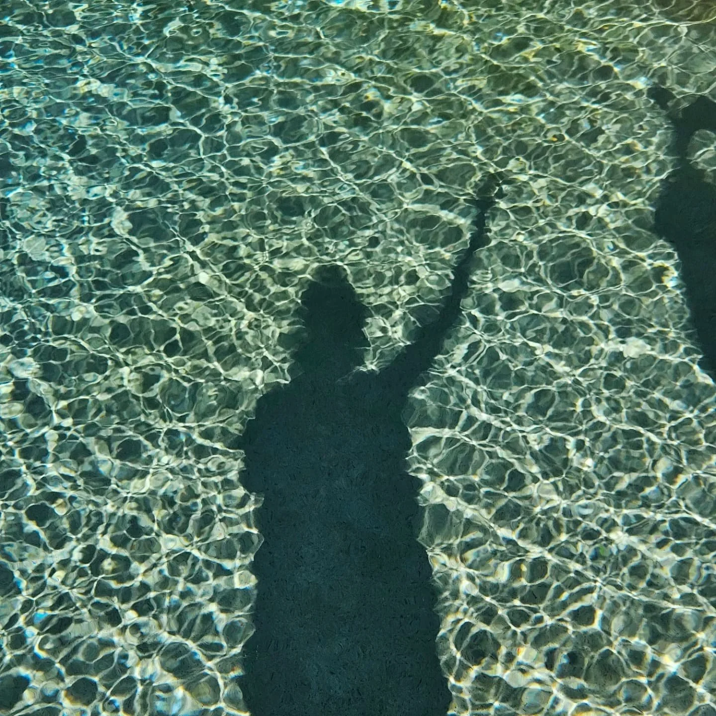 DEEP DIVE 