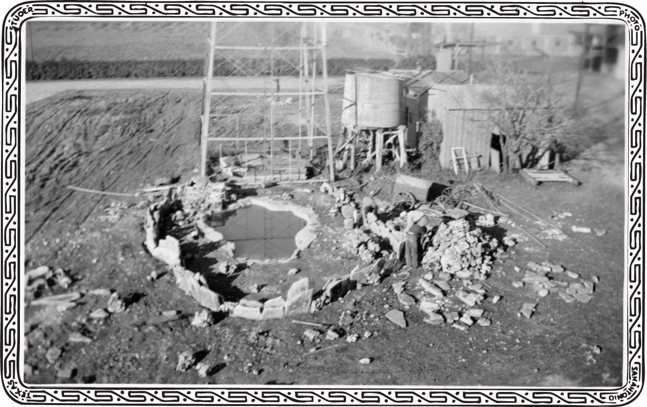 Biasiolli, Robert, Alligators 004-fixed.png