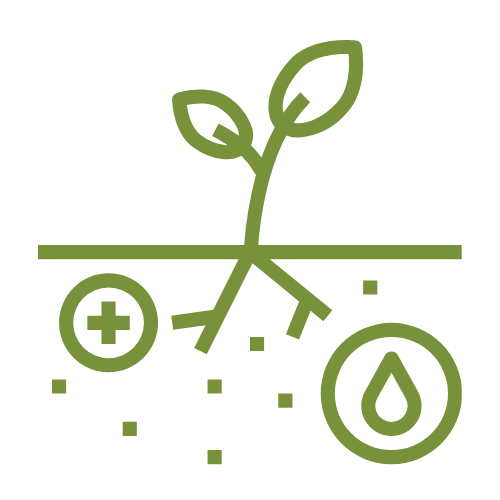 Illustration of plant roots, leaves, and symbols representing health, water, and nutrients.