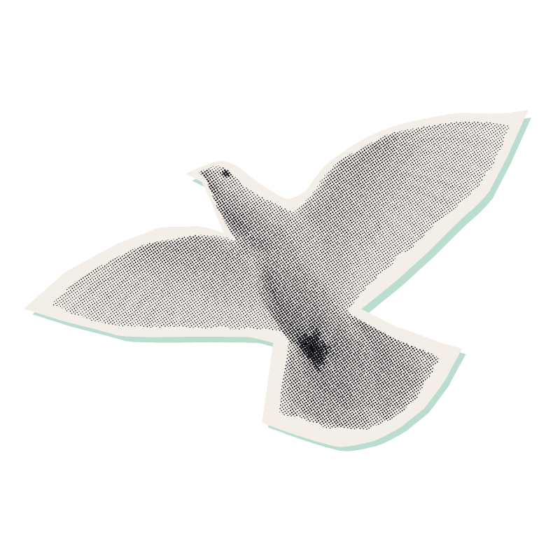 A stylized illustration of a white bird in flight with a dotted pattern, on a black background.