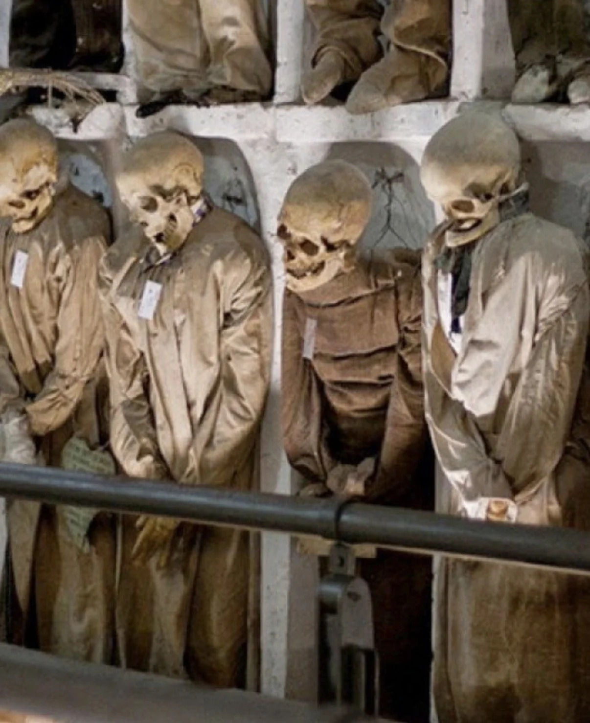 Close up of 3 decayed bodies