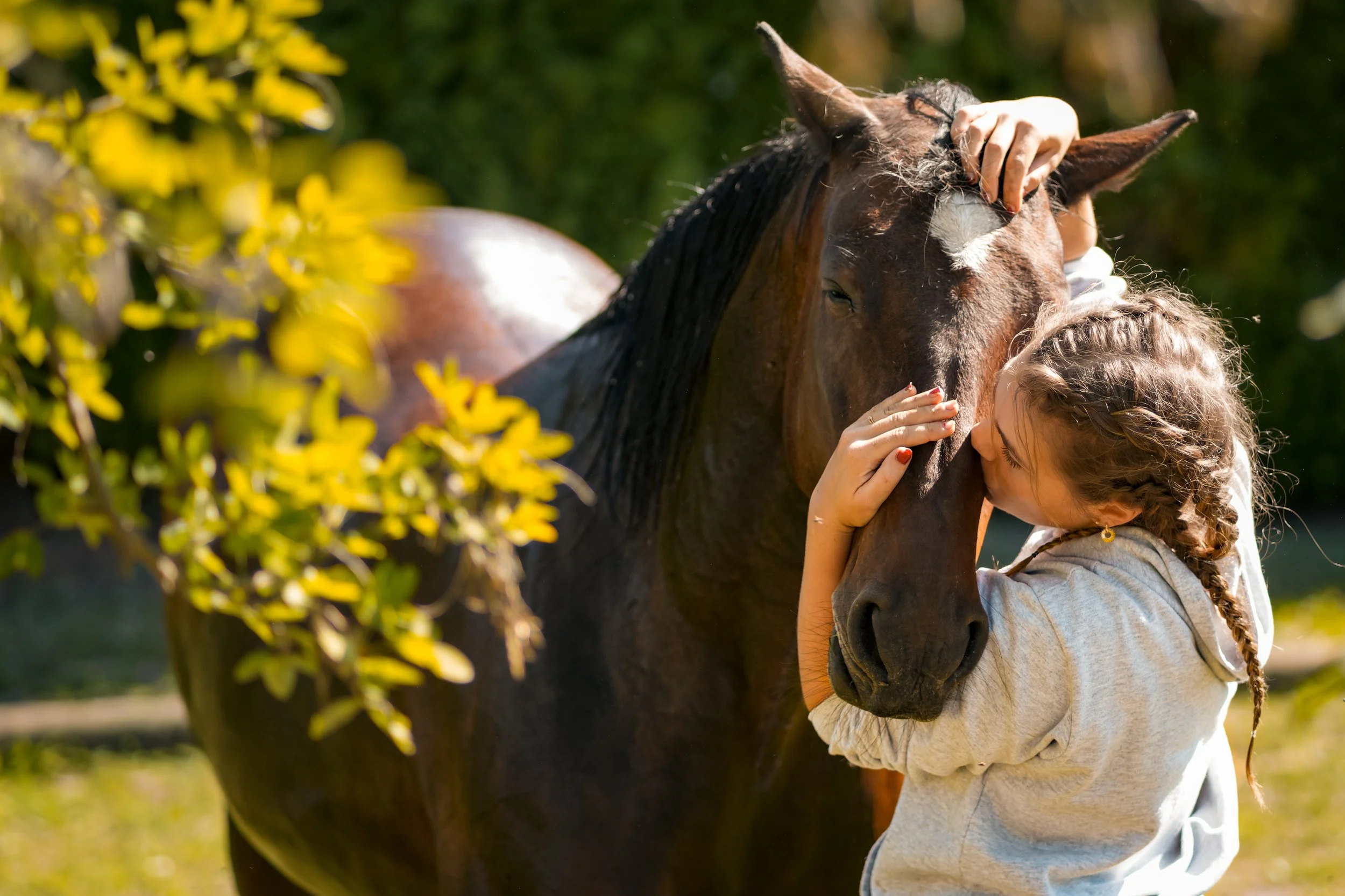 Jeune fille embrassant un cheval dans un parc en plein air.