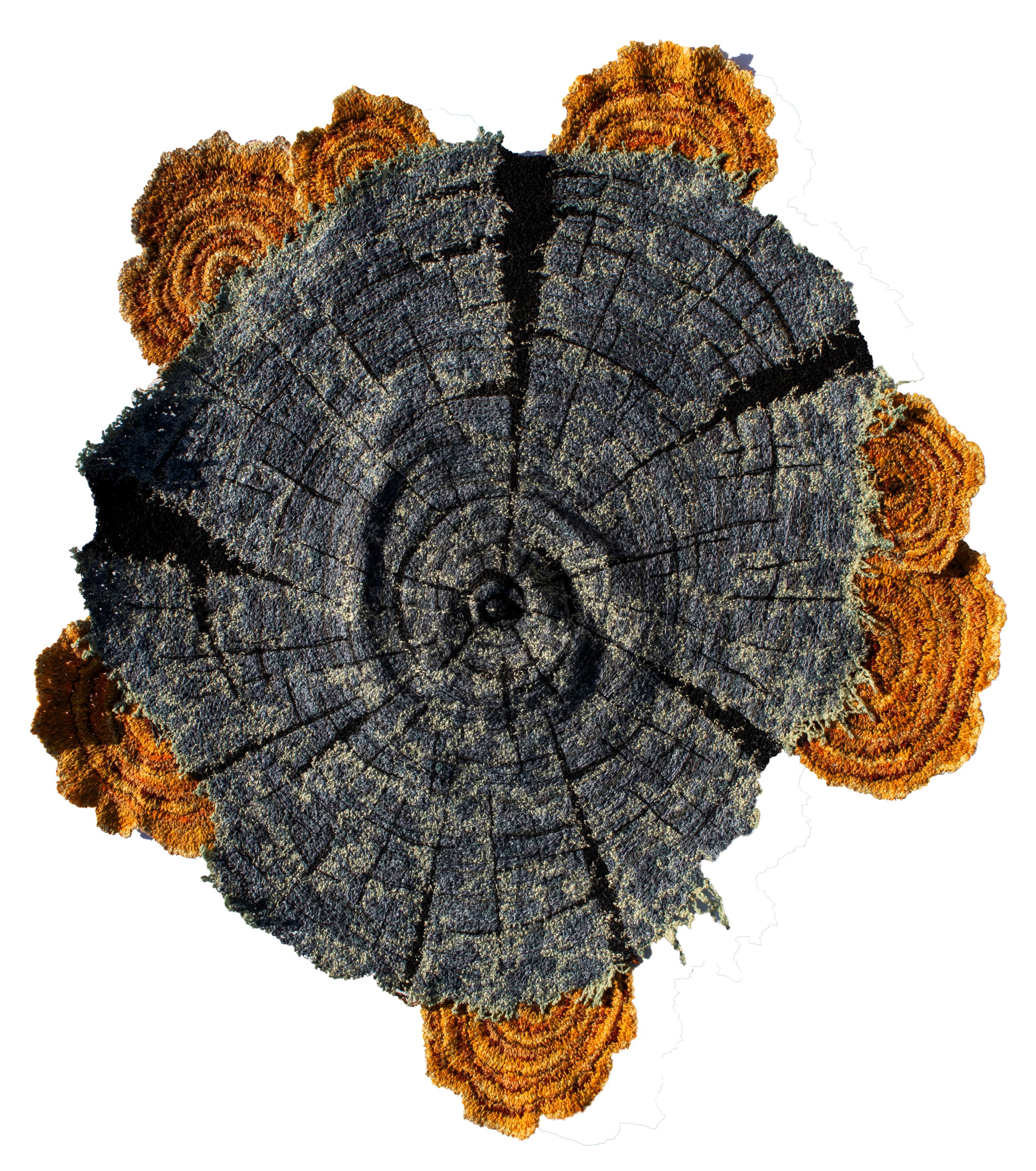 Stump and fungi 3 will be available in February 