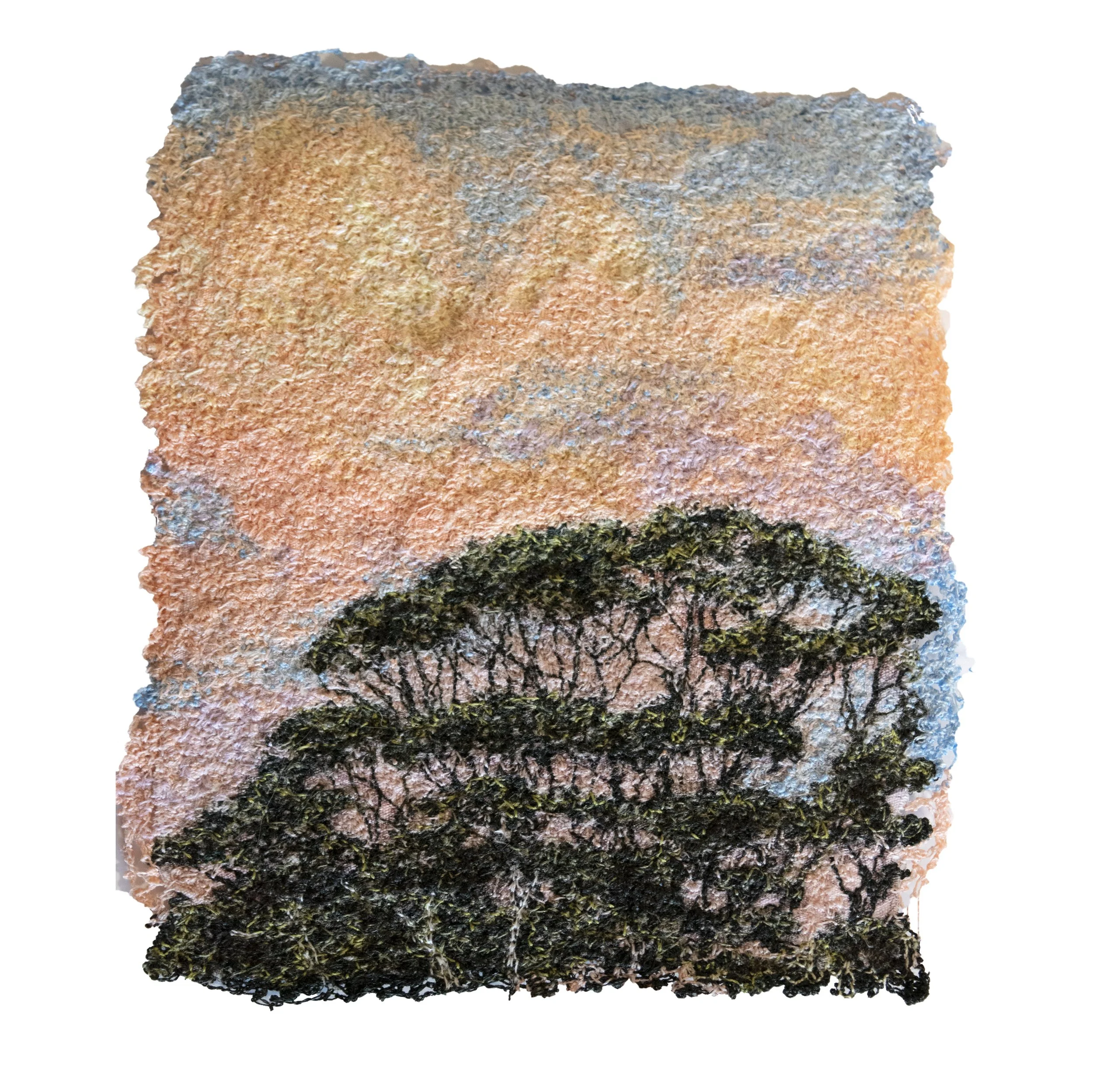 Evening light (SOLD)