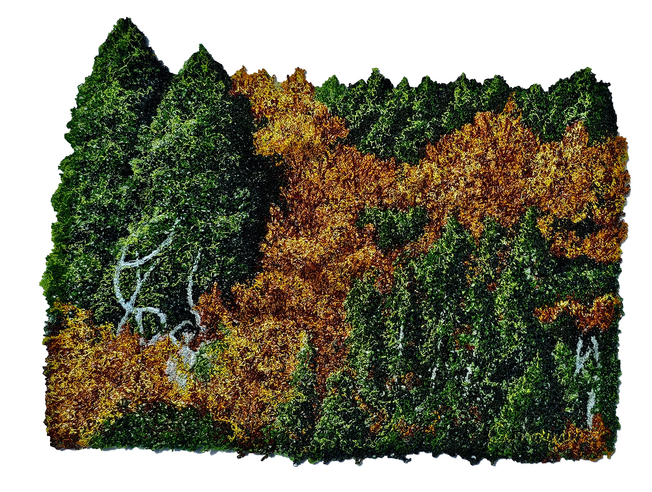 The Colour of Fagus will be available on the 5th of Feb